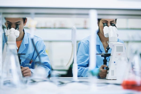 Support de Planification de Projet Support de Planification de Projet