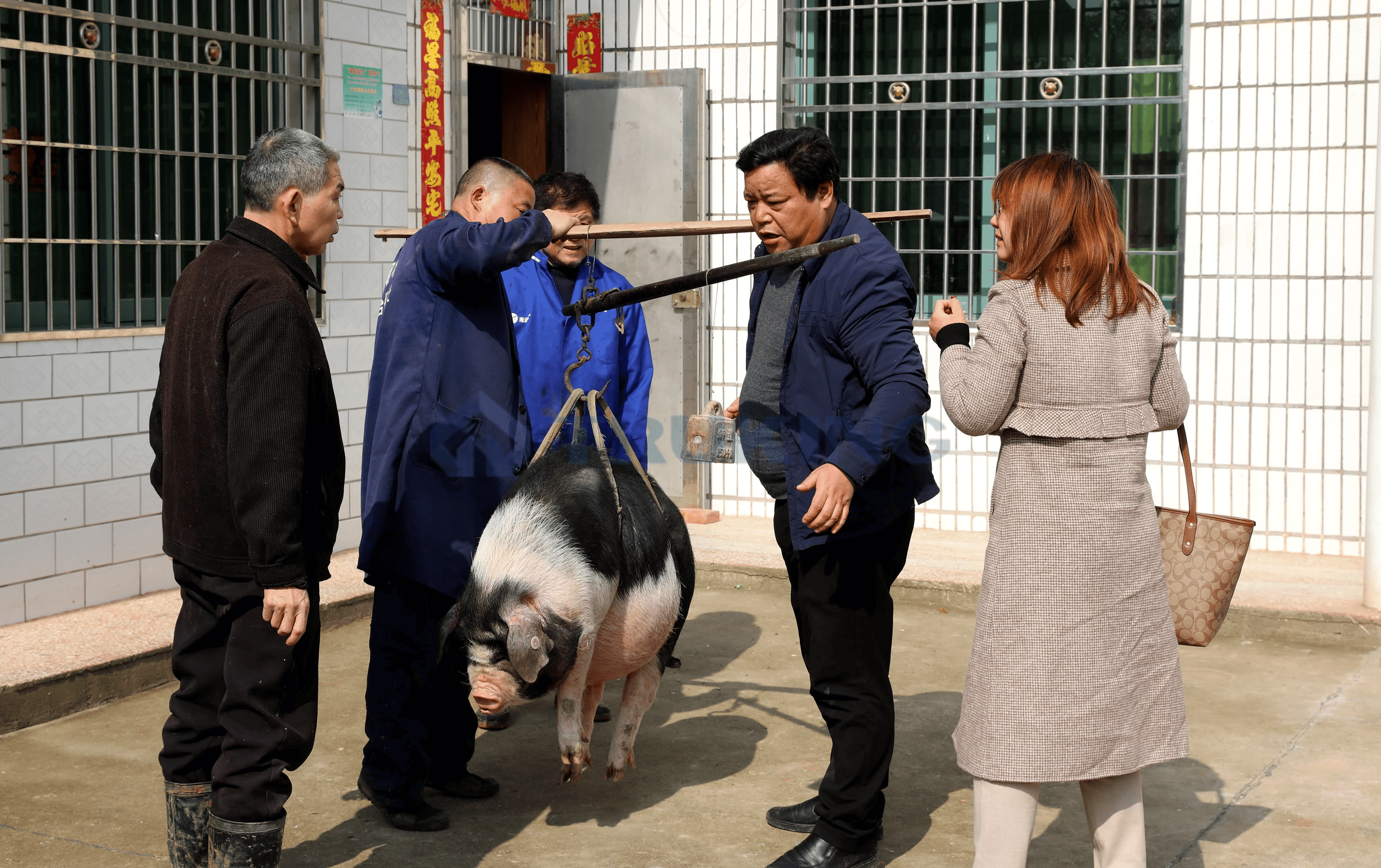 一夲道人妻熟女AV网站