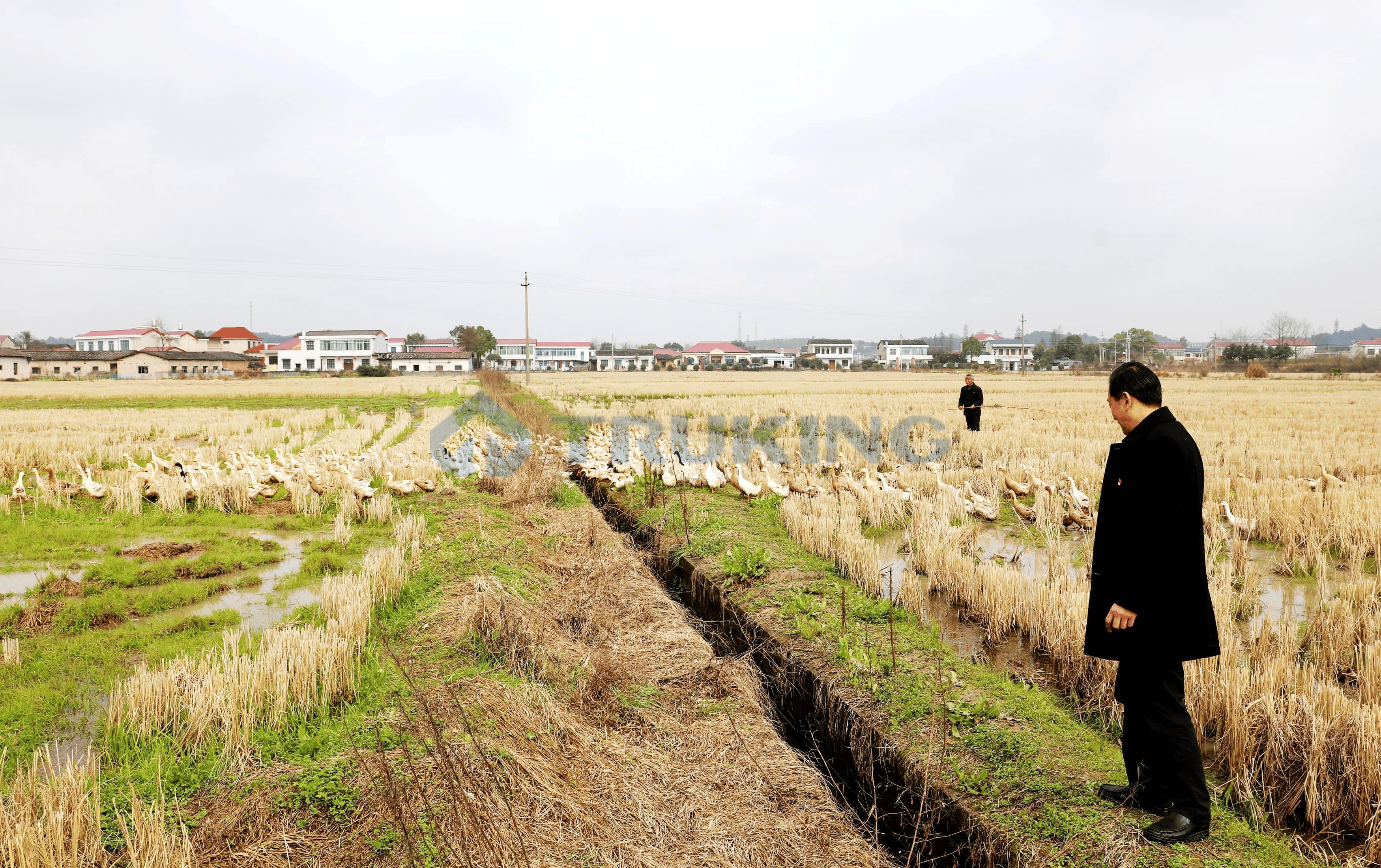 一夲道人妻熟女AV网站