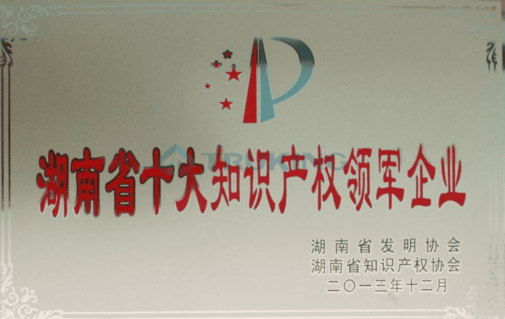 湖南省十大知识产权领军企业
