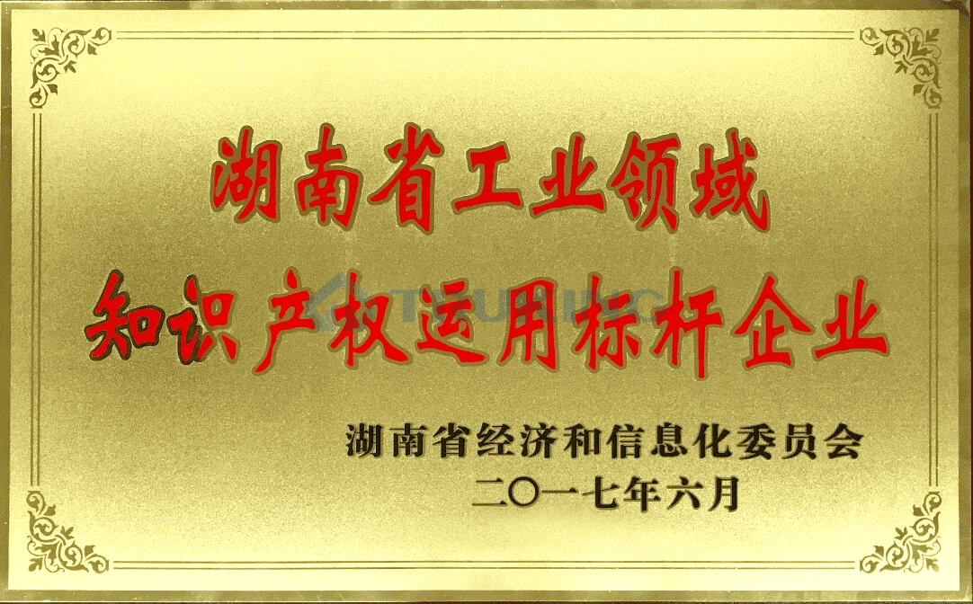 湖南省工业领域知识产权运用标杆企业