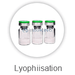 一夲道人妻熟女AV网站