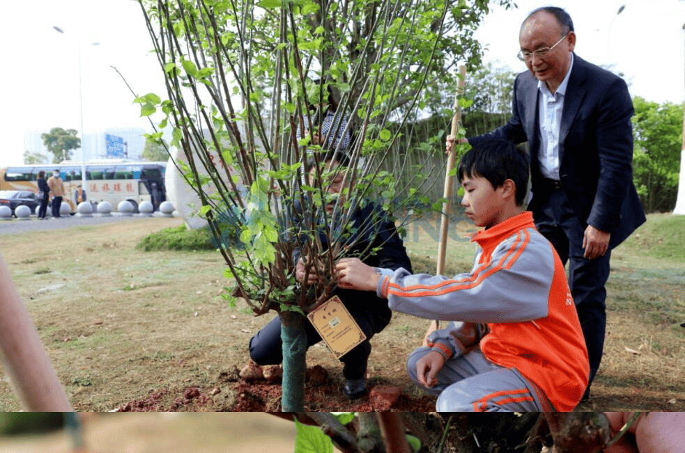 一夲道人妻熟女AV网站