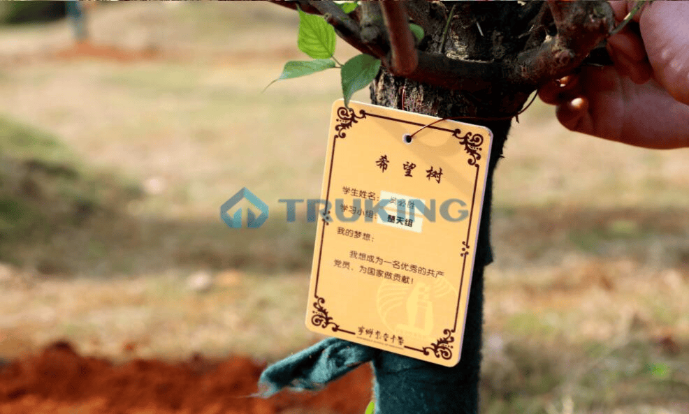 一夲道人妻熟女AV网站