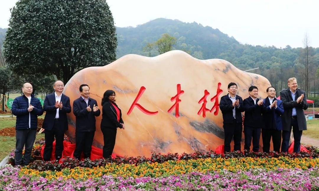 一夲道人妻熟女AV网站