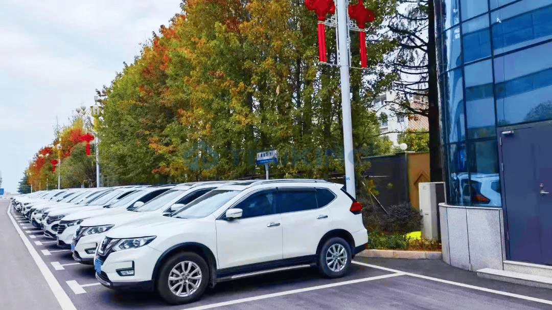 一夲道人妻熟女AV网站