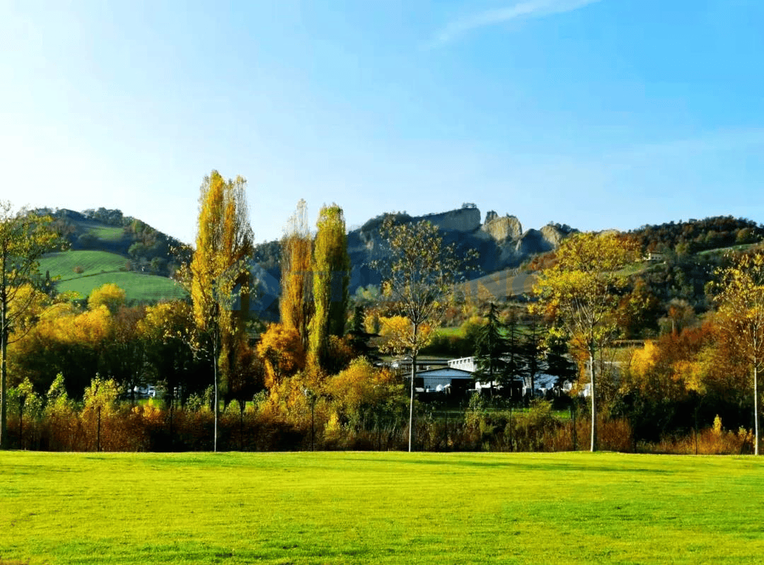 一夲道人妻熟女AV网站