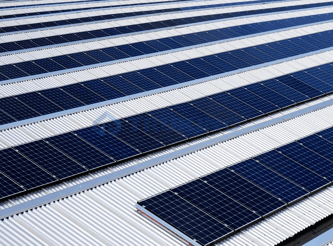 一夲道人妻熟女AV网站