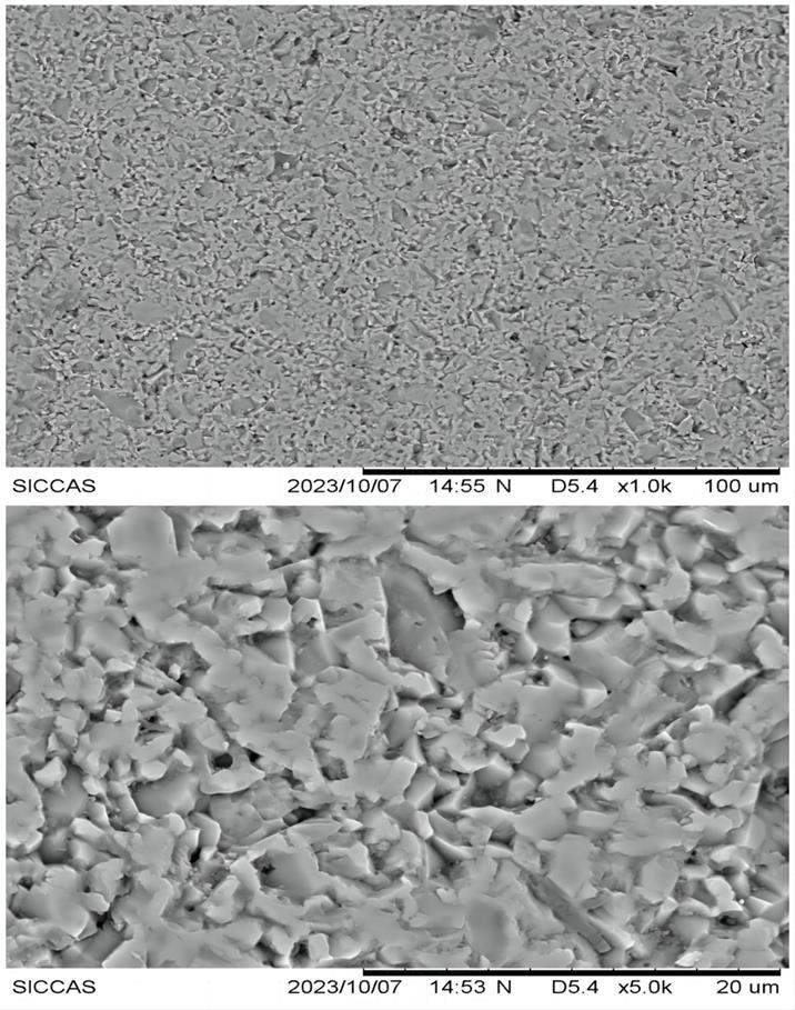 一夲道人妻熟女AV网站